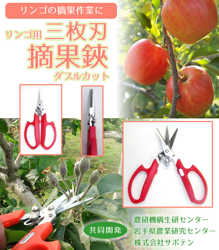 リンゴ三枚刃摘果鋏ダブルカット：りんご農家専用道具AG-18｜サボテン